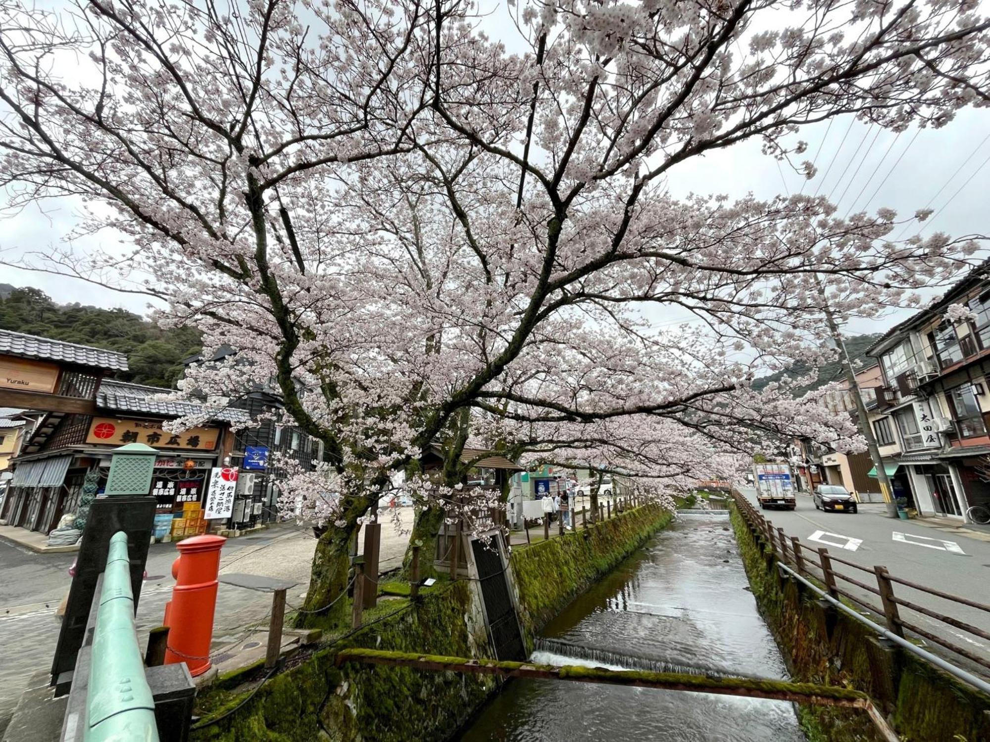 Ryokan Yadokari - Vacation Stay 28940V 丰冈市 外观 照片